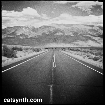 driving through the desert