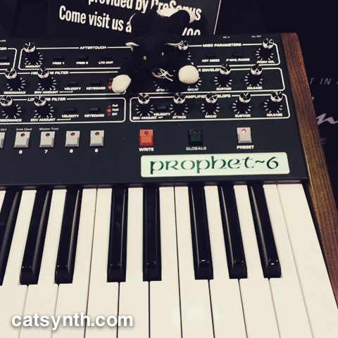 Sequential Prophet 6