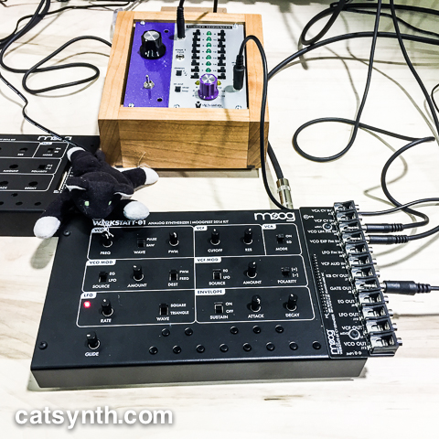 Moog werkstatt