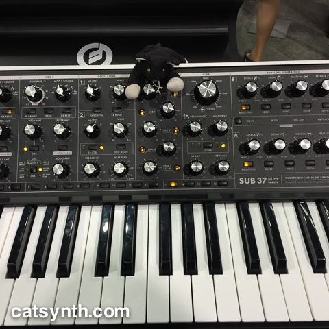 Moog Sub 37