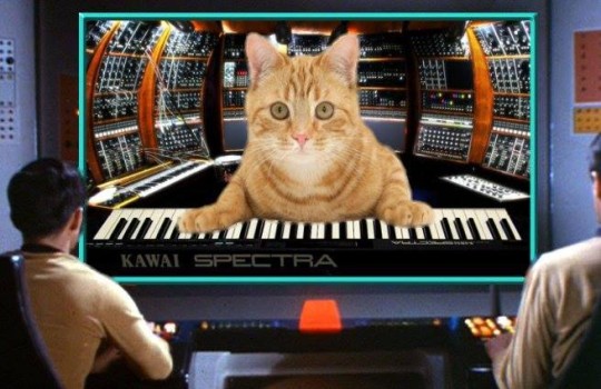 1908175_903010096383925_1344067975645872