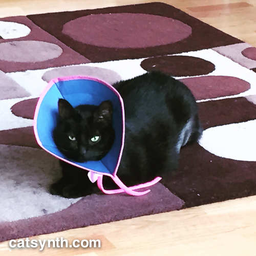 Luna with cone / bonnet.
