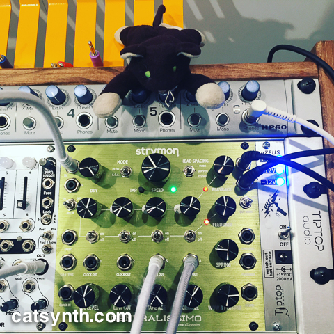 Strymon Generalissimo